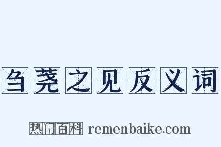 刍荛之见反义词是什么意思的图片